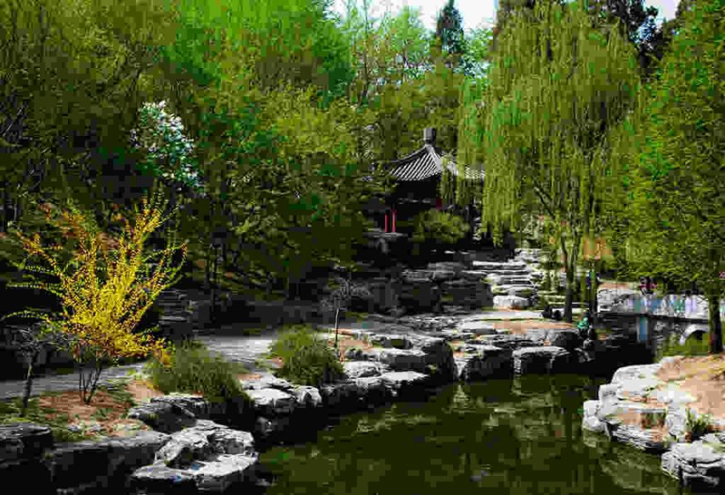 建筑设计院：探索未来城市的脉络